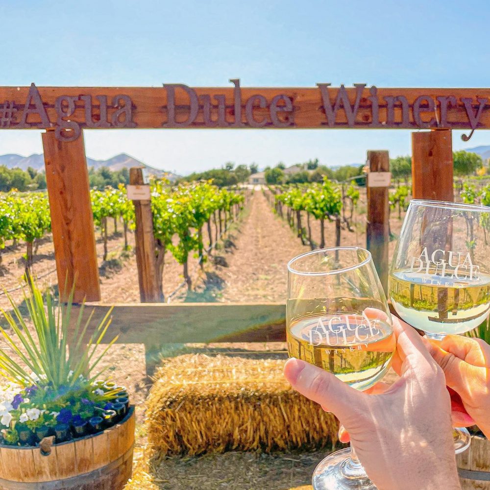 Wine Lovers Visit Santa Clarita