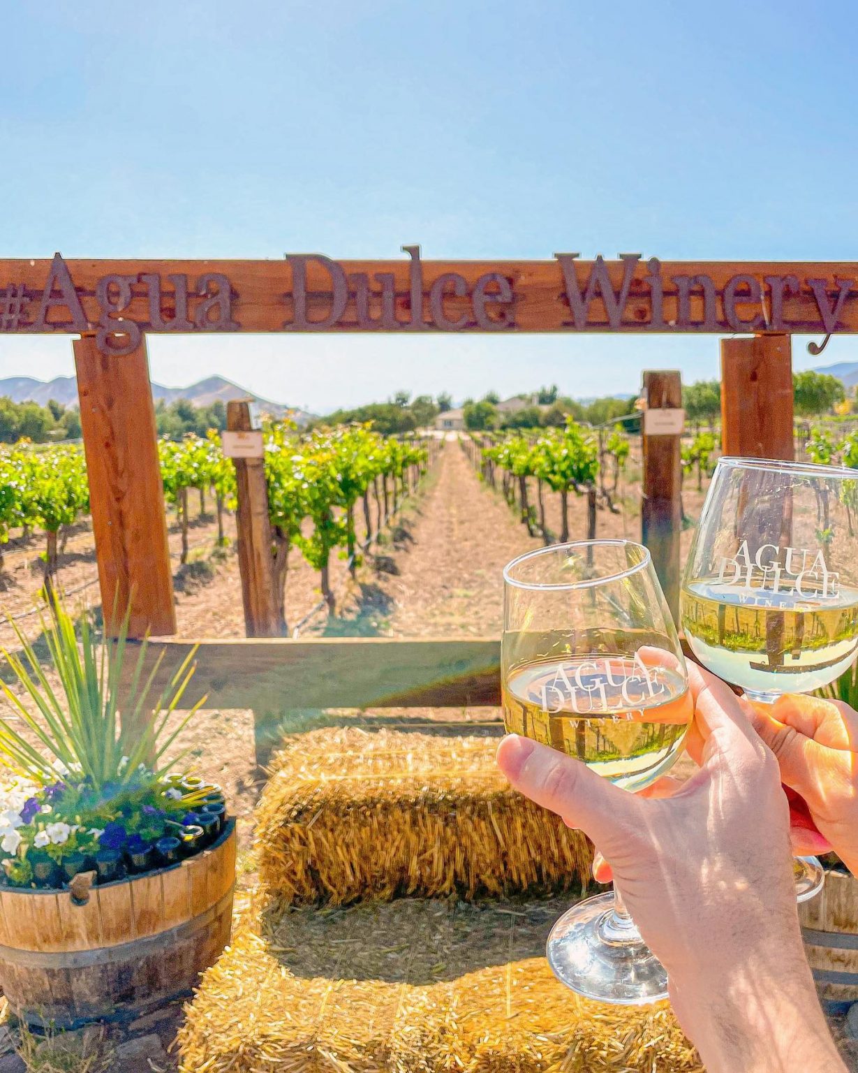 🎃Fall Activities🍁 Visit Santa Clarita