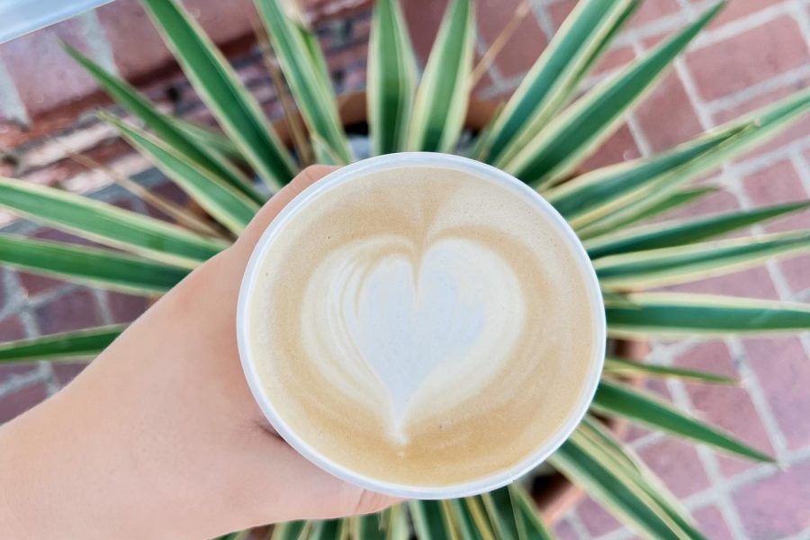Person holding a latte outside over a plant.